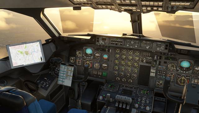 146 Professional (MSFS)