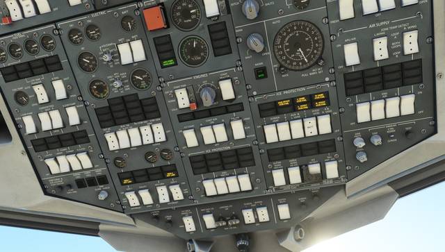 146 Professional (MSFS)
