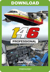 146 Professional