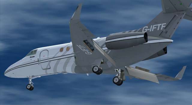 800XP BizJet Livery Pack