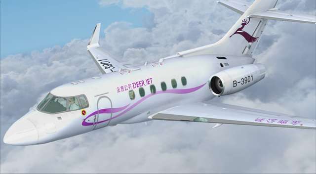 800XP BizJet Livery Pack