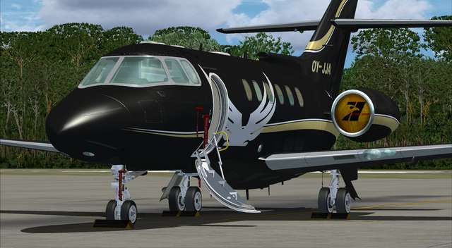 800XP BizJet Livery Pack