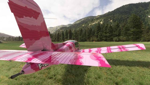 Aeroplane Heaven Socata Rallye MS-893