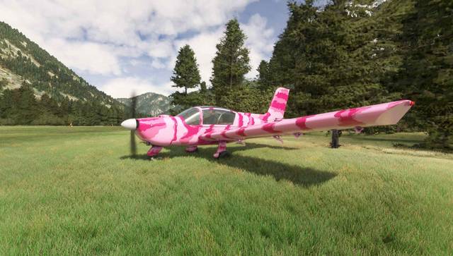 Aeroplane Heaven Socata Rallye MS-893