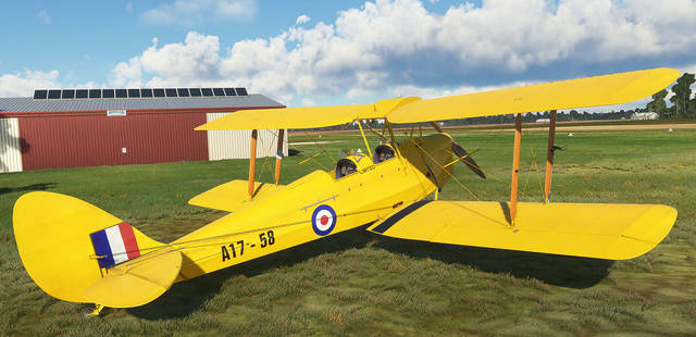 Ants Airplanes Tiger Moth MSFS