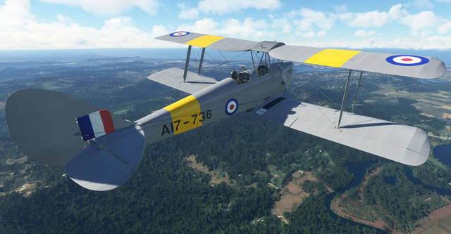 Ants Airplanes Tiger Moth MSFS