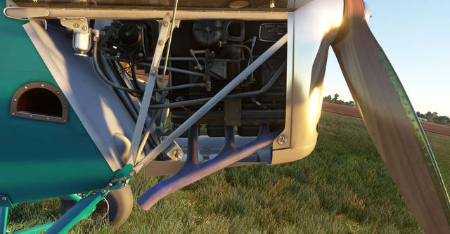 Ants Airplanes Tiger Moth MSFS