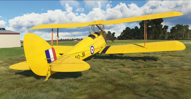 Ants Airplanes Tiger Moth MSFS