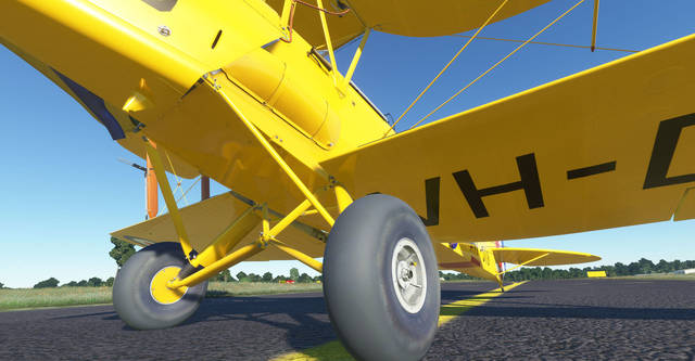 Ants Airplanes Tiger Moth MSFS