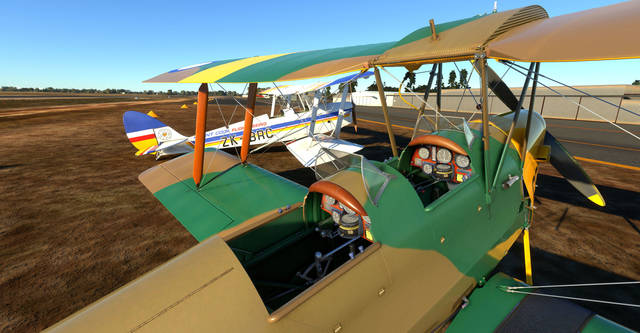 Ants Airplanes Tiger Moth MSFS