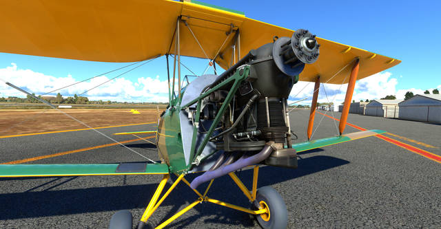 Ants Airplanes Tiger Moth MSFS