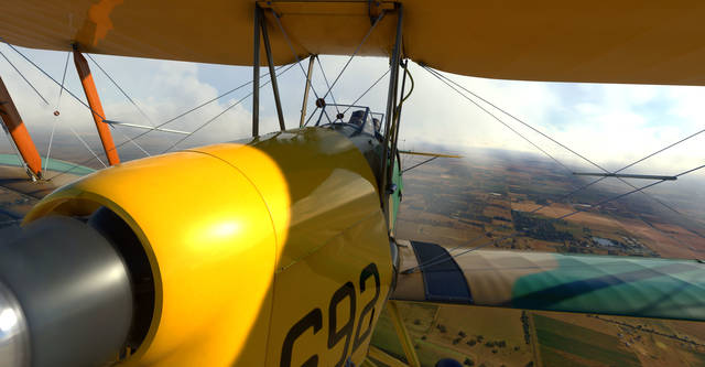 Ants Airplanes Tiger Moth MSFS