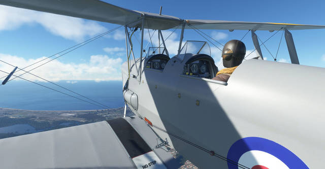Ants Airplanes Tiger Moth MSFS