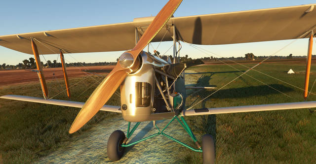 Ants Airplanes Tiger Moth MSFS