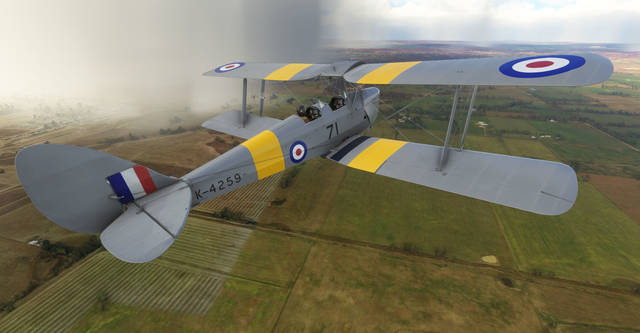 Ants Airplanes Tiger Moth MSFS