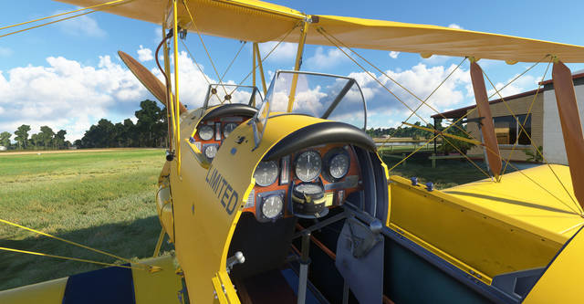Ants Airplanes Tiger Moth MSFS