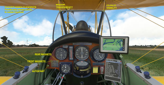 Ants Airplanes Tiger Moth MSFS