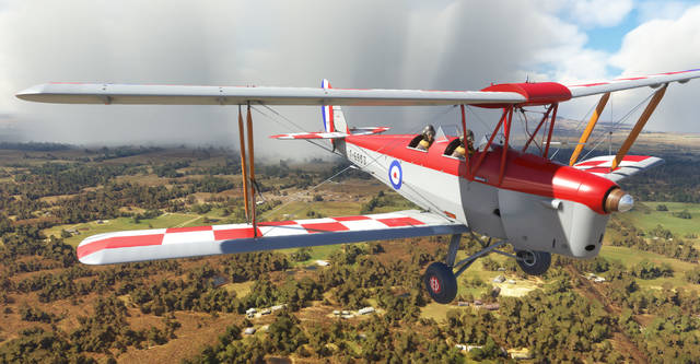 Ants Airplanes Tiger Moth MSFS