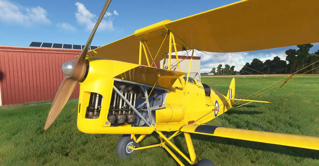 Ants Airplanes Tiger Moth MSFS