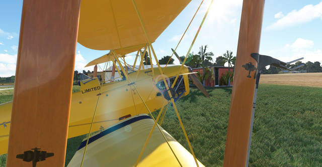 Ants Airplanes Tiger Moth MSFS