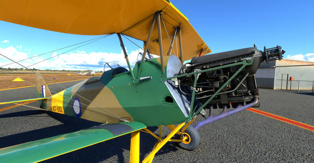 Ants Airplanes Tiger Moth MSFS