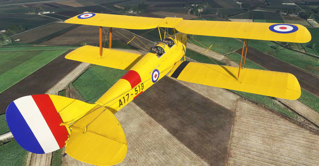 Ants Airplanes Tiger Moth MSFS