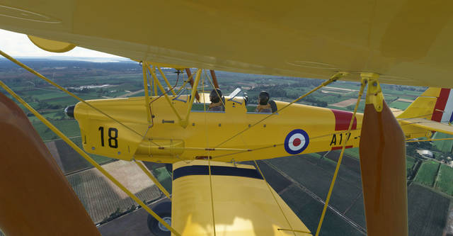 Ants Airplanes Tiger Moth MSFS