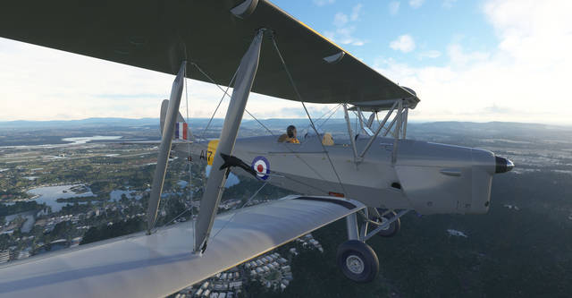 Ants Airplanes Tiger Moth MSFS