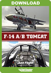 DC Designs F-14 A/B Tomcat (for MSFS)