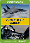 DC Designs F-15 C, E & I Eagle (for P3D v1-v3 & FSX)