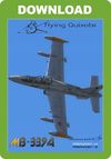 Flying Quixote - Aermacchi MB 339 A/PAN