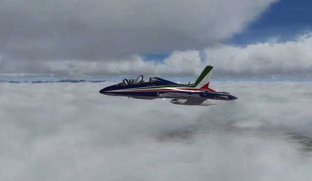 Flying Quixote - Aermacchi MB339 A/Pan