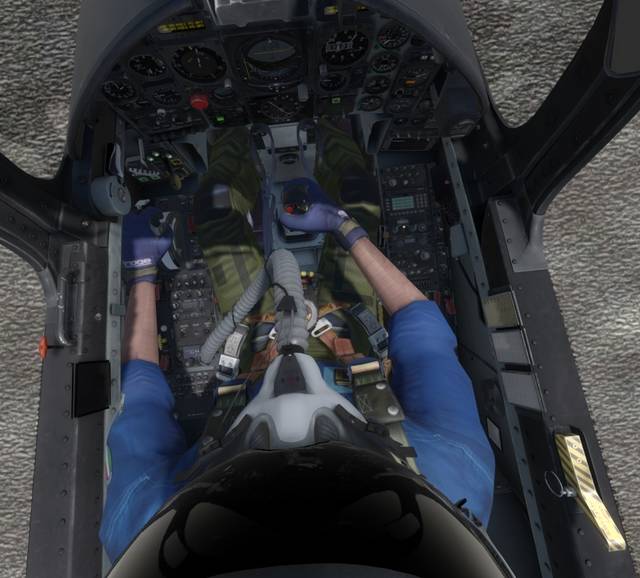 Flying Quixote - Aermacchi MB339 A/Pan