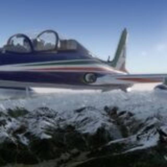 Flying Quixote - Aermacchi MB339 A/Pan