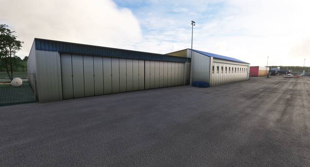 FLYNDRIVE4D LFLA Auxerre Branches