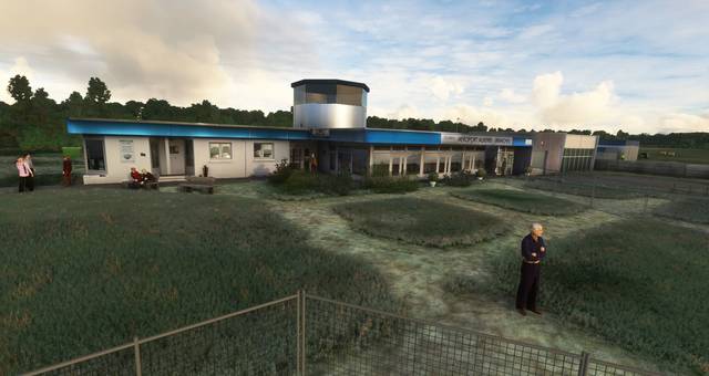 FLYNDRIVE4D LFLA Auxerre Branches