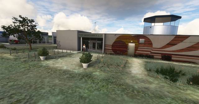 FLYNDRIVE4D LFLA Auxerre Branches