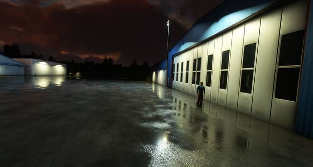 FLYNDRIVE4D LFLA Auxerre Branches