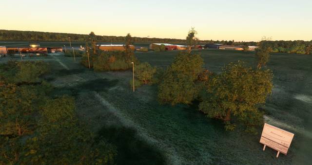 FLYNDRIVE4D LFLA Auxerre Branches