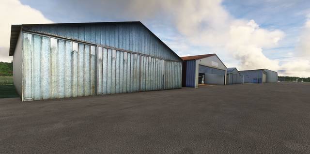 FLYNDRIVE4D LFLA Auxerre Branches