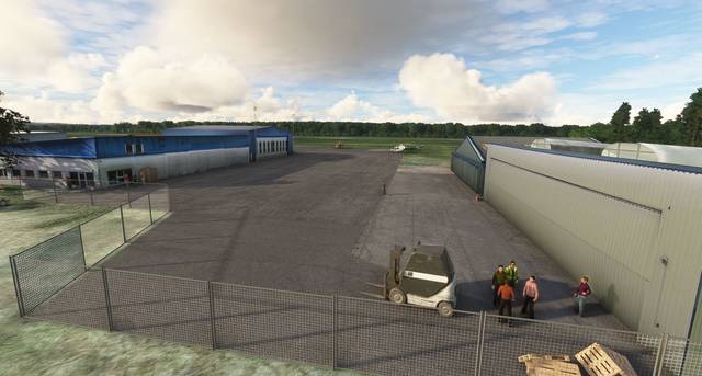 FLYNDRIVE4D LFLA Auxerre Branches