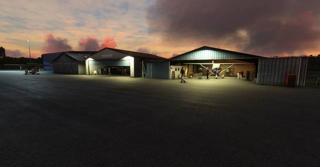 FLYNDRIVE4D LFLA Auxerre Branches