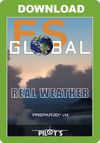 FS Global Real Weather (for P3D v4)