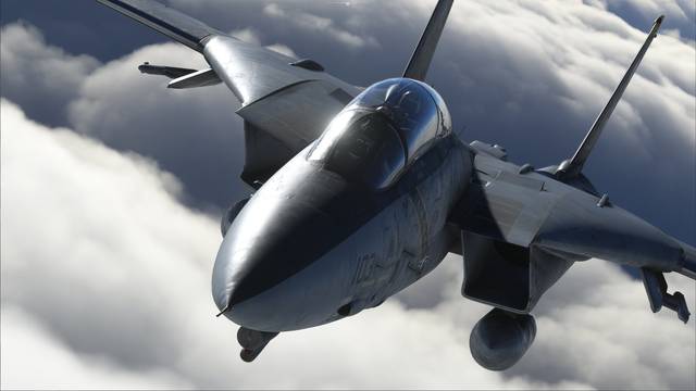 IndiaFoxtEcho F-14 Tomcat
