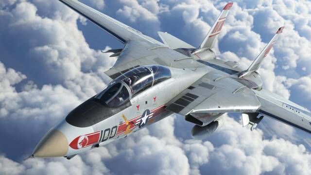 IndiaFoxtEcho F-14 Tomcat