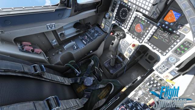 IndiaFoxtEcho M-346 Master