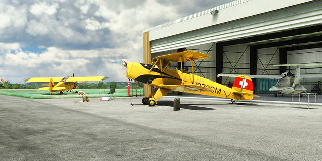 Lionheart Creations Bucker Bu-131 Jungmann MSFS