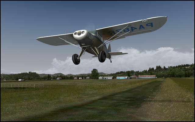 Lionheart Piper Pacer