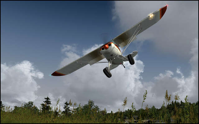 Lionheart Piper Pacer