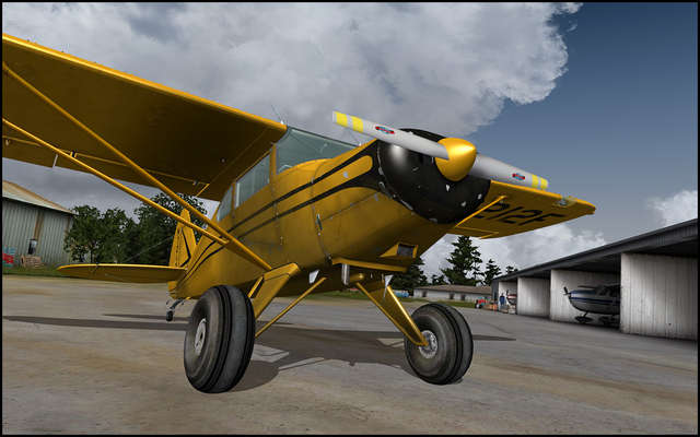 Lionheart Piper Pacer